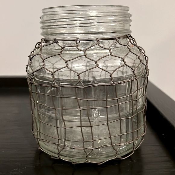 Heavy Glass Caged Bottle Farmhouse Wire Wrapped Vase---Small Size - Picture 1 of 4